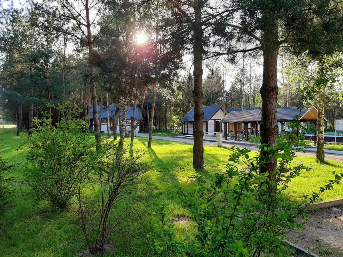 Hotel Osrodek Wypoczynkowy Lubu Dubu Dankow Exterior foto